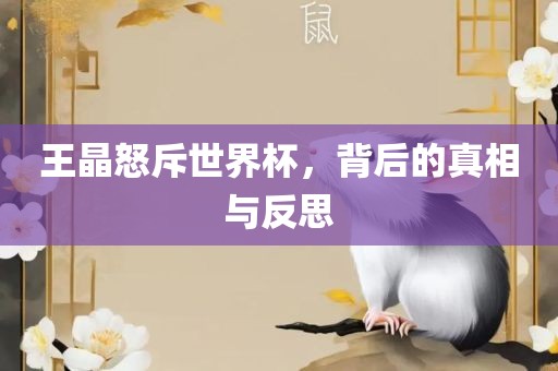 王晶怒斥世界杯，背后的真相与反思吉安市靖泰电力工程有限公司
