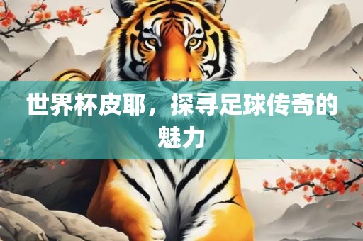 世界杯皮耶，探寻足球传奇的魅力吉安市靖泰电力工程有限公司