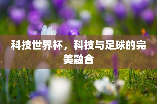 科技世界杯，科技与足球的完美吉安市靖泰电力工程有限公司融合