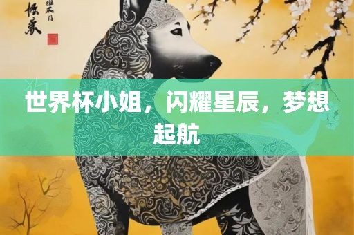 世界杯小姐，闪耀星辰，梦想起航吉安市靖泰电力工程有限公司