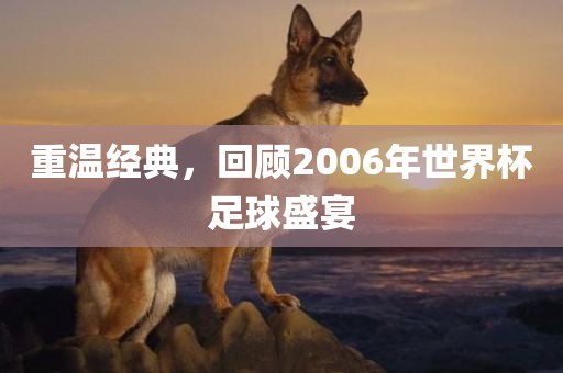 重温经典，回顾2006年世界杯足球盛宴吉安市靖泰电力工程有限公司