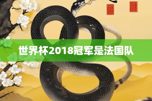 世界杯2018冠军是法国队吉安市靖泰电力工程有限公司