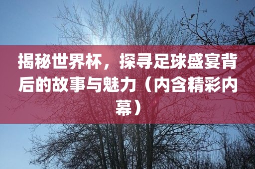 揭秘世界杯，探寻足球盛宴背后的故事与魅力（内含精彩内幕）吉安市靖泰电力工程有限公司