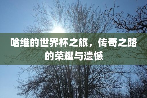 哈维的世界杯之旅，传奇之路的荣耀与遗憾吉安市靖泰电力工程有限公司