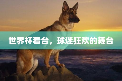 世界杯看台，球迷狂欢的舞台吉安市靖泰电力工程有限公司