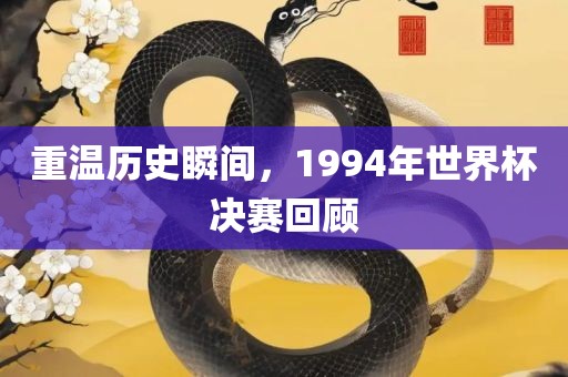 重温历史瞬间，吉安市靖泰电力工程有限公司1994年世界杯决赛回顾