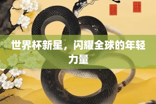 世界杯新星，闪耀全球的年轻力量吉安市靖泰电力工程有限公司
