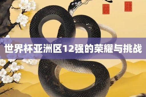 世界杯亚洲区12强的荣耀与挑战吉安市靖泰电力工程有限公司