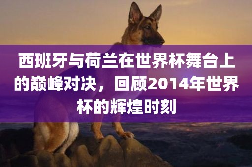 西班牙与荷兰在世界杯舞台上的巅峰对决，回顾2014年世界杯的辉煌时刻