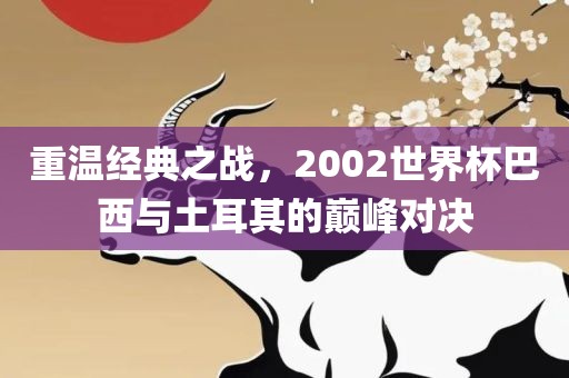 重温经典之战，2002世界杯巴西与吉安市靖泰电力工程有限公司土耳其的巅峰对决