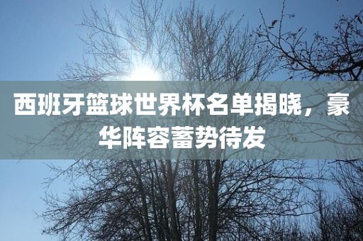 西班牙篮球世界杯名单揭晓，豪华阵容蓄势待发吉安市靖泰电力工程有限公司