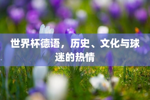 世界杯德语，历史、文化与球吉安市靖泰电力工程有限公司迷的热情