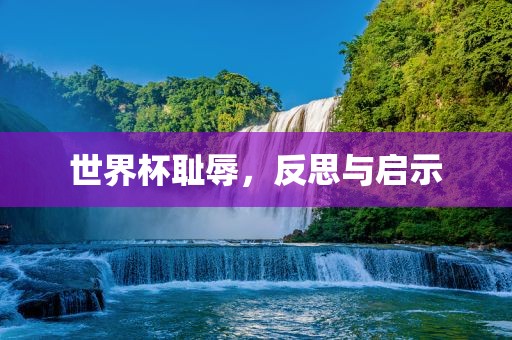 世界杯耻辱，反思与吉安市靖泰电力工程有限公司启示