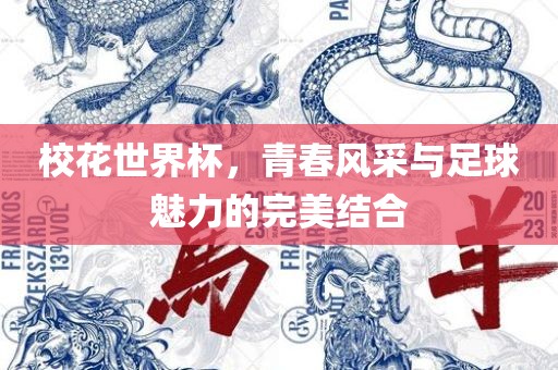 校花世界杯，青春风采与足球魅力的完美结合吉安市靖泰电力工程有限公司