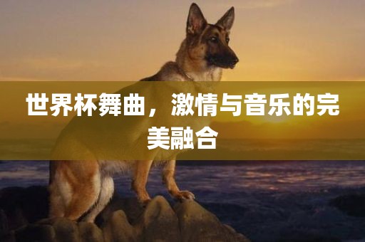 世界杯舞曲，激情与音乐的完美融合吉安市靖泰电力工程有限公司