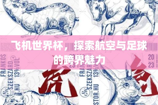 飞机世界杯，探索航空与足球的跨界魅力吉安市靖泰电力工程有限公司