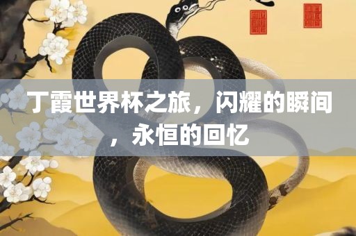 丁霞世界杯之旅，闪耀的瞬间，永恒的回忆吉安市靖泰电力工程有限公司