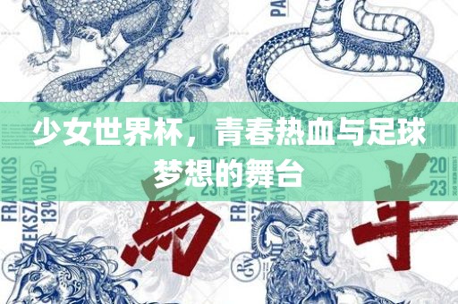 少女世界杯，青春热血与足球梦想的舞台