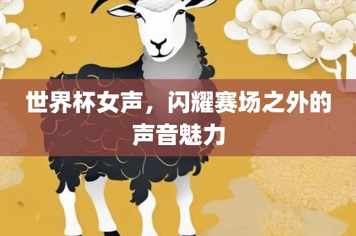 世界杯女声，闪耀赛场之外的声音魅力吉安市靖泰电力工程有限公司