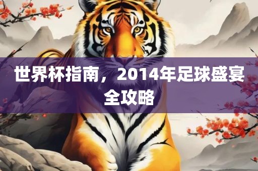 世界杯指南，2014年足球盛宴全攻略