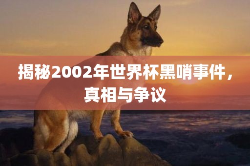 揭秘2002年世界杯黑哨事件，真相与争议
