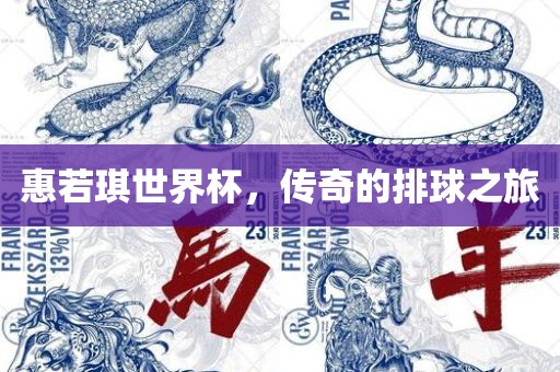 惠若琪世界杯，传奇的排球之旅吉安市靖泰电力工程有限公司