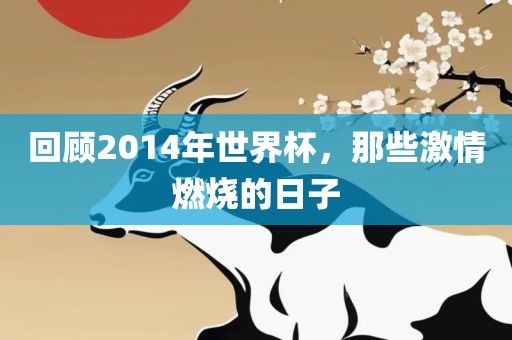 回顾2014年世界杯，那些激情燃烧的日子