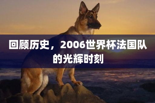 回顾历史，2006世界杯法国队的光辉时刻