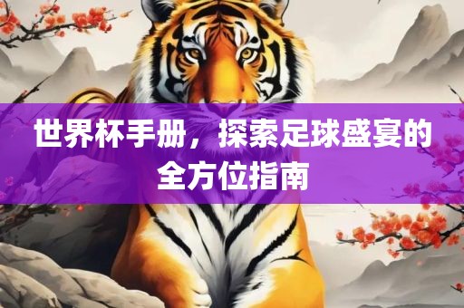 世界杯手册，探索足球盛宴的全方位指南