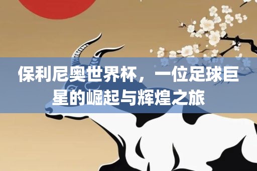 保利尼奥世界杯，一位足球巨星的崛起与辉煌之旅