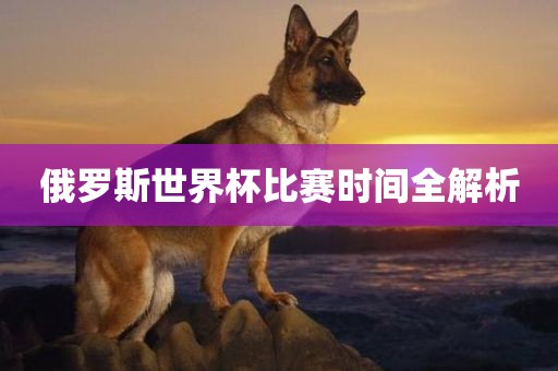 俄罗斯世界杯比赛时间全解析