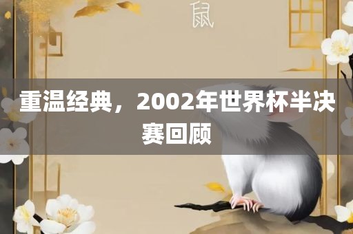重温经典，2002年世界杯半决赛回顾