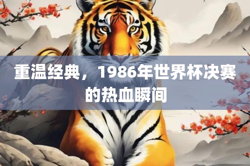 重温经典，1986年世界杯决赛的热血瞬间