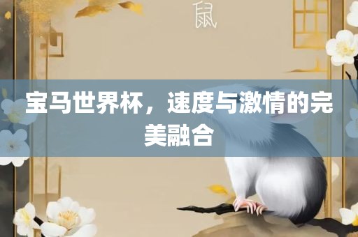 宝马世界杯，速度与激情的完美融合