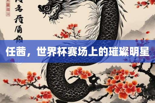 任茜，世界杯赛场上的璀璨明星