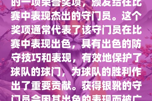 世界杯银靴是世界杯足球赛中的一项荣誉奖项，颁发给在比赛中表现杰出的守门员。这个奖项通常代表了该守门员在比赛中表现出色，具有出色的防守技巧和表现，有效地保护了球队的球门，为球队的胜利作出了重要贡献。获得银靴的守门员会因其出色的表现而被广泛认可和赞誉。