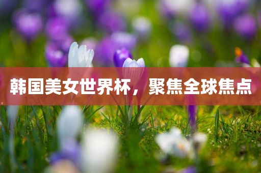 韩国美女世界杯，聚焦全球焦点