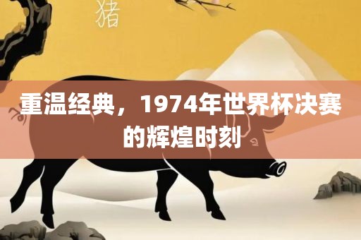 重温经典，1974年世界杯决赛的辉煌时刻