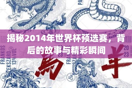 揭秘2014年世界杯预选赛，背后的故事与精彩瞬间