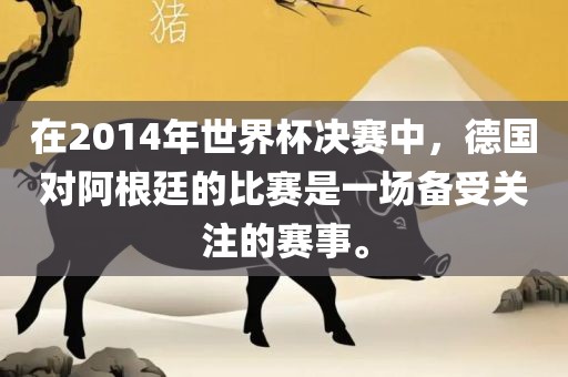 在2014年世界杯决赛中，德国对阿根廷的比赛是一场备受关注的赛事。