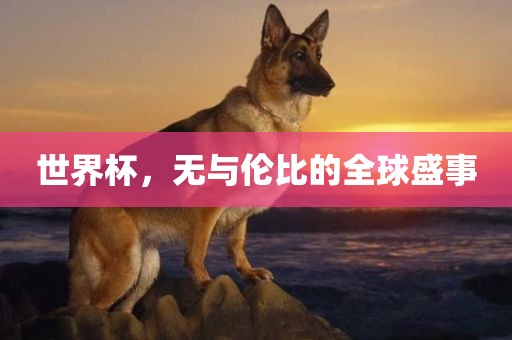 世界杯，无与伦比的全球盛事