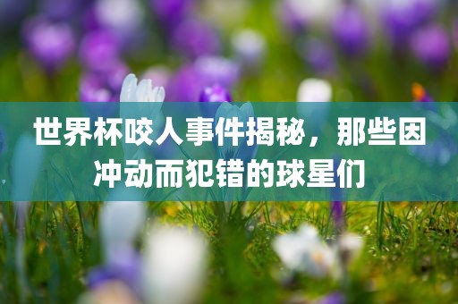 世界杯咬人事件揭秘，那些因冲动而犯错的球星们