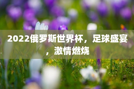 2022俄罗斯世界杯，足球盛宴，激情燃烧