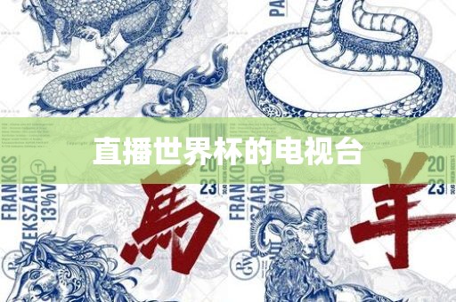 直播世界杯的电视台