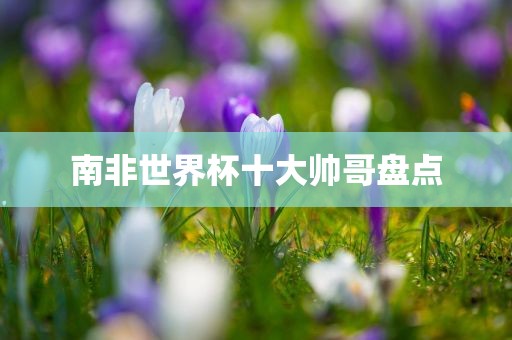 南非世界杯十大帅哥盘点