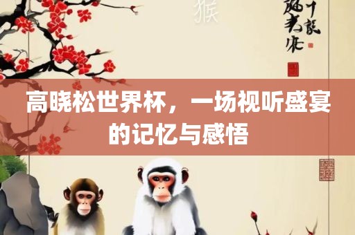 高晓松世界杯，一场视听盛宴的记忆与感悟