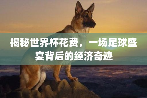 揭秘世界杯花费，一场足球盛宴背后的经济奇迹