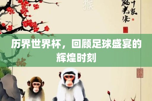 历界世界杯，回顾足球盛宴的辉煌时刻