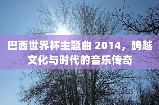 巴西世界杯主题曲 2014，跨越文化与时代的音乐传奇
