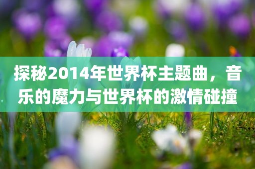 探秘2014年世界杯主题曲，音乐的魔力与世界杯的激情碰撞